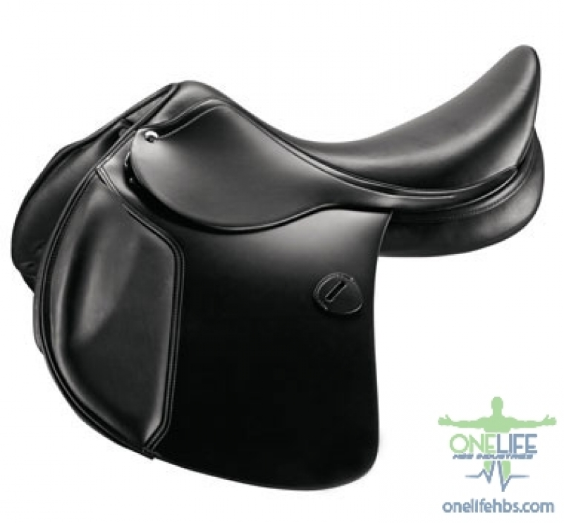 Upper Centrals and Canines